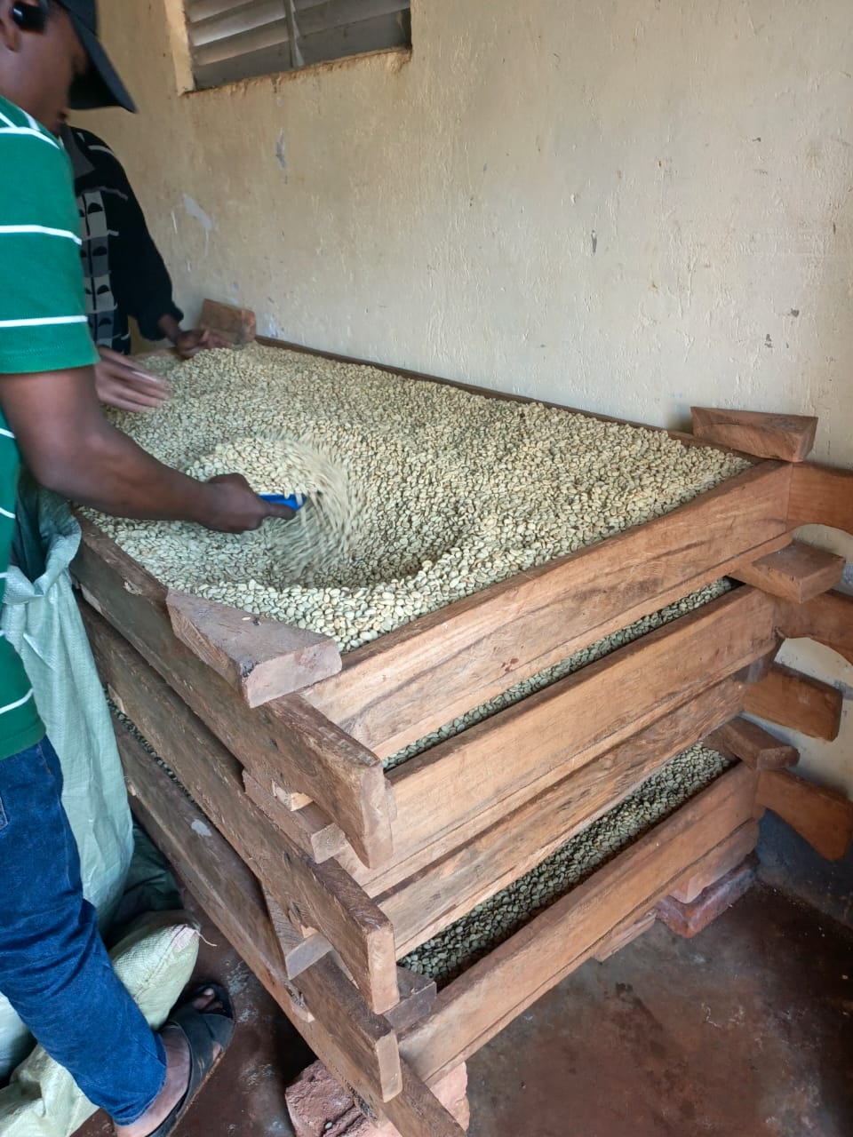 Buuka Women Coffee Farmers